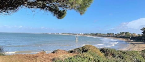 海灘