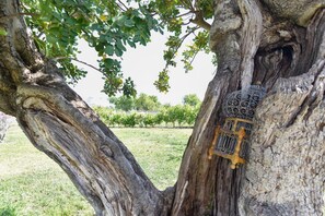 Ein Baum mit einem Vogelhäuschen aus Metall am Stamm.