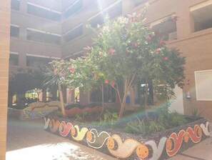 Property grounds - Playa Ribera Building MED001 (Oropesa del Mar)