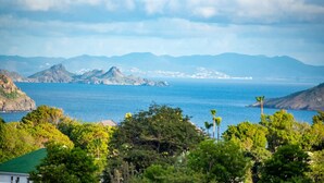 A coastal landscape with mountains, a clear sky, and dense greenery in the foreground.