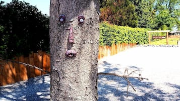 A tree with carved faces and a wooden fence in the background.
