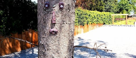 Un árbol con rostros tallados y una valla de madera al fondo.