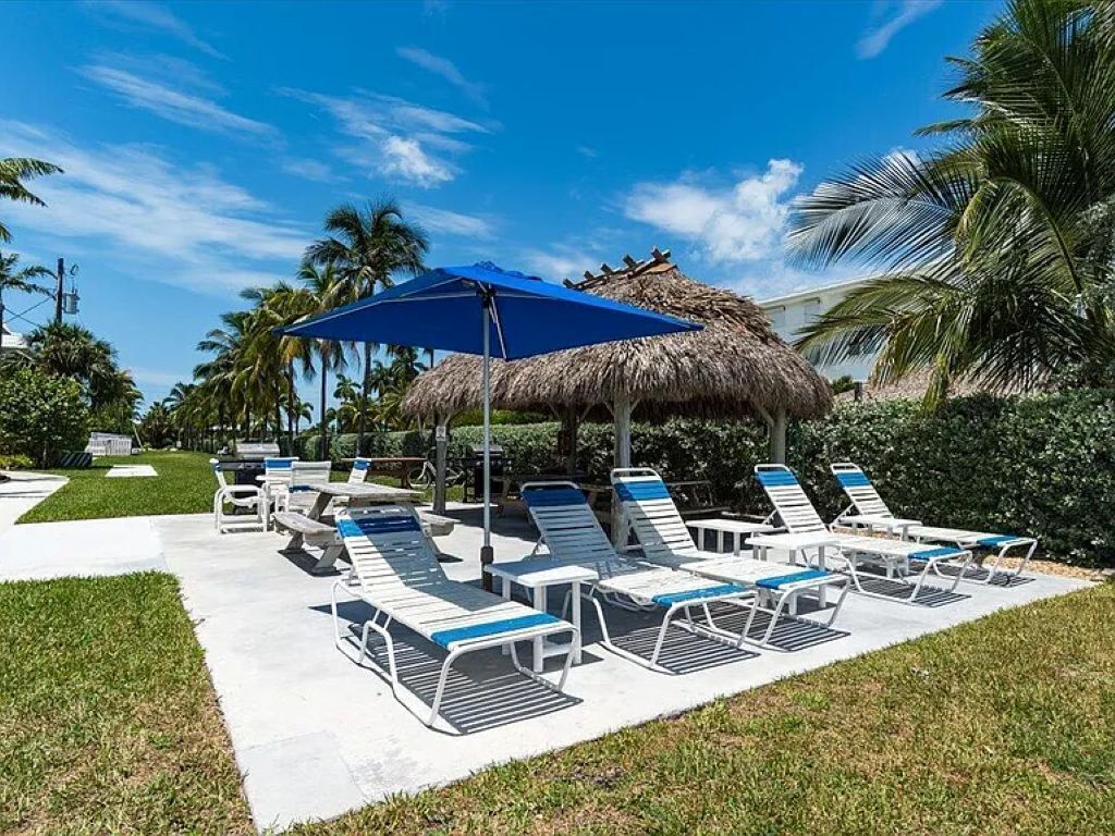 Un espace aménagé au bord de la piscine, avec des chaises longues et un parasol en chaume.