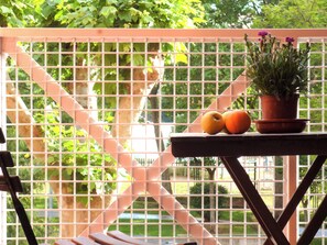 A window with a grid pattern, a potted plant, and two apples on a table. - Logrocity Puerta del Ebro Free private parking (Logroño)