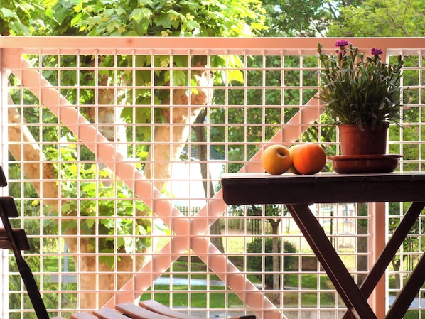 A window with a grid pattern, a potted plant, and two apples on a table. - Logrocity Puerta del Ebro Free private parking (Logroño)