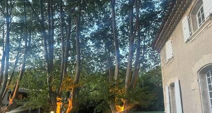 Perfectly located in the heart of Provence: 40 minutes from Marseille Airport