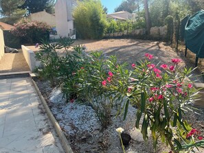 A garden with gravel paths, flowering plants, and a house in the background. - Perfectly located in the heart of Provence: 40 minutes from Marseille Airport (Mallemort)