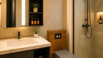 Shower, hair dryer, bidet, towels