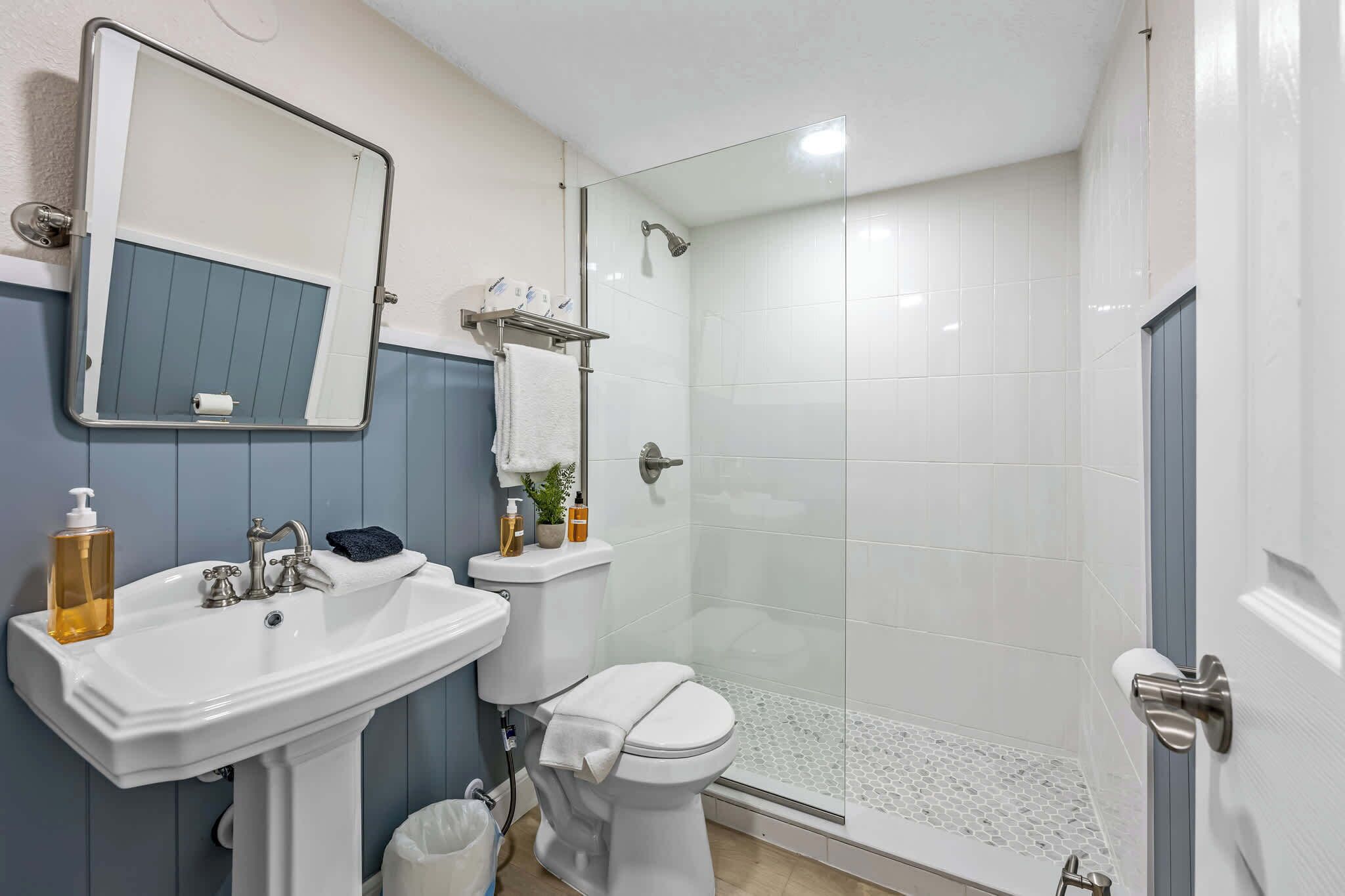 Shower, hair dryer, shampoo
