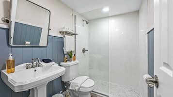 Shower, hair dryer, shampoo