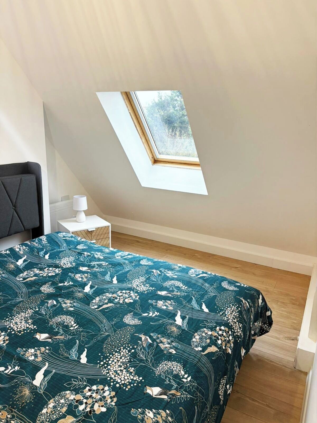 1 slaapkamer, internet