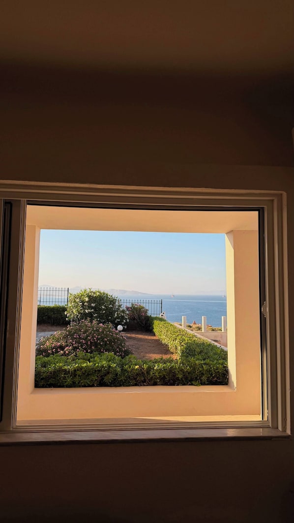 Ein Fenster mit Blick auf einen Garten und das Meer.