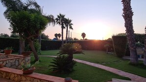 Een goed onderhouden tuin met palmbomen, een stenen bank en bloempotten.