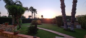 Ein gepflegter Garten mit Palmen, einer Steinsitzbank und Kübelpflanzen.