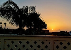 Ein Sonnenuntergang mit gegen den Himmel abgesetzten Palmen.