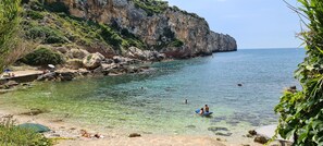 Lettini da mare