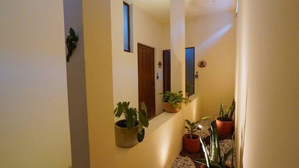 Een smalle gang met potplanten, een houten deur en een klein raam.