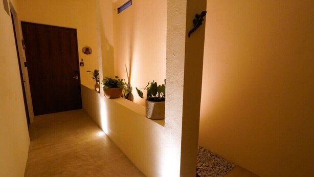 Un pasillo con puerta de madera, plantas en macetas y pared con textura.
