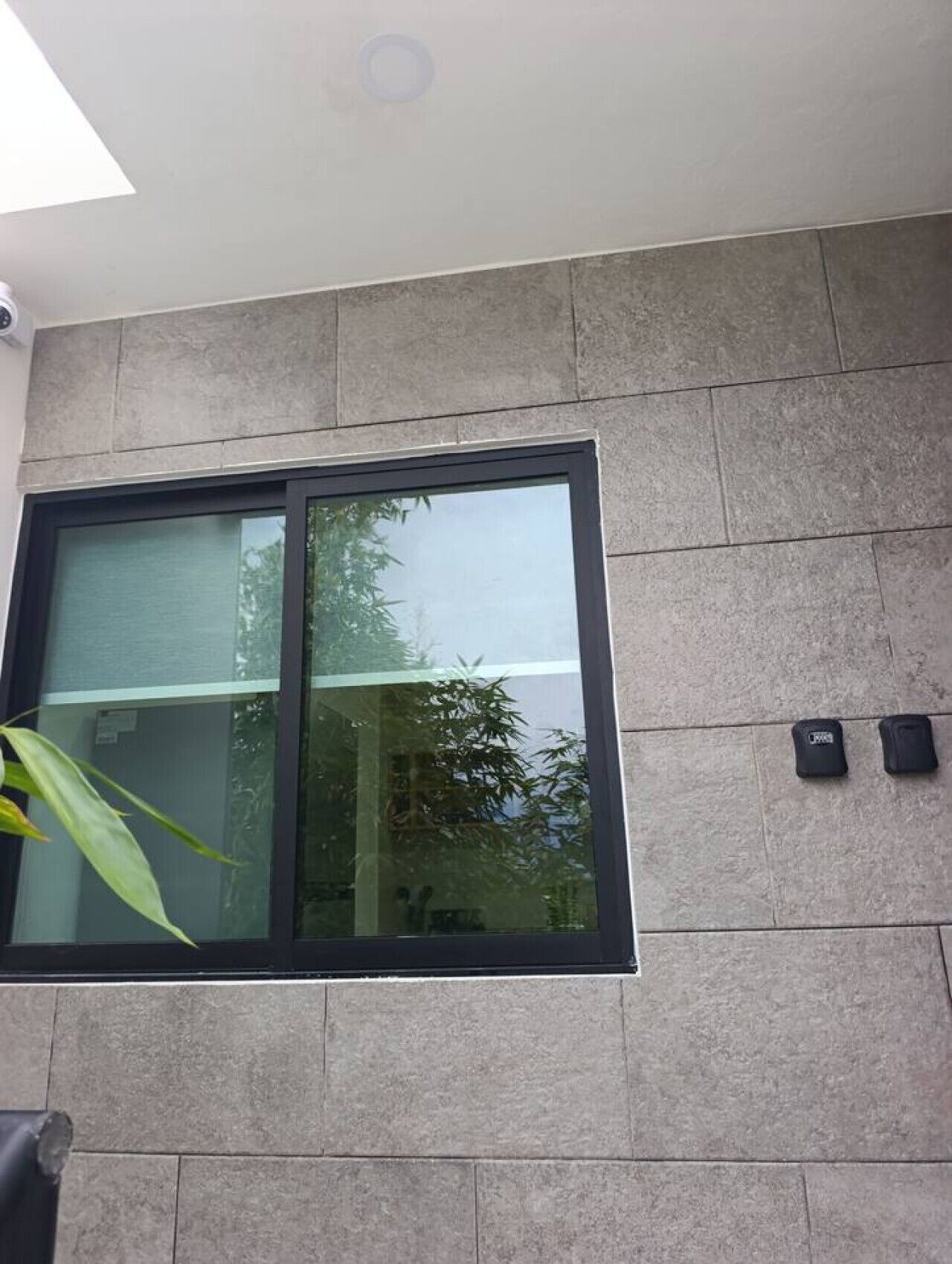 Une façade de bâtiment moderne avec une grande fenêtre, un mur en pierre et une petite plante.