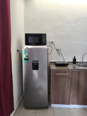Une cuisine compacte équipée d’un réfrigérateur, d’un four à micro-ondes et d’un évier.