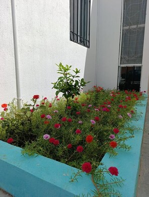 Ein weißes Gebäude mit einem Fenster und einem Blumenkasten mit roten und pinkfarbenen Blüten.