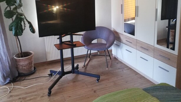 Un dormitorio con cama, televisor sobre un mueble, una silla, armario y planta en maceta.
