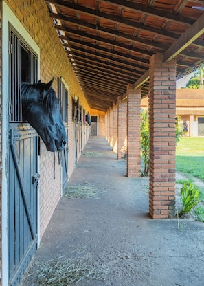 A stable with horses, a covered walkway, and brick pillars.