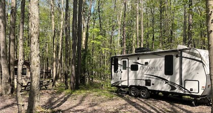 Cozy RV with AC in wooded campground in the ANF
