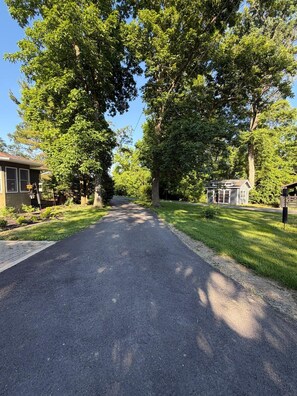 A residential street lined with trees and houses.