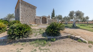 A stone building with a wooden door, surrounded by olive trees and a gravel path. - Son Barba Mallorca – Luxury, Privacy, Private Pool & Jacuzzi, AC, BBQ, More (Sa Pobla)