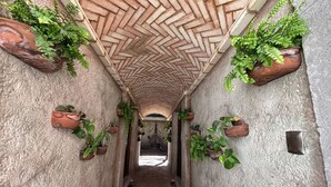 Un pasillo estrecho con techo estampado, paredes decoradas con plantas en macetas y suelo de baldosas.