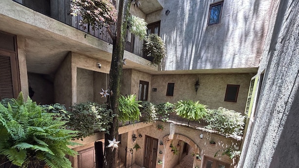 Un patio con varios balcones, plantas en macetas y un árbol central.