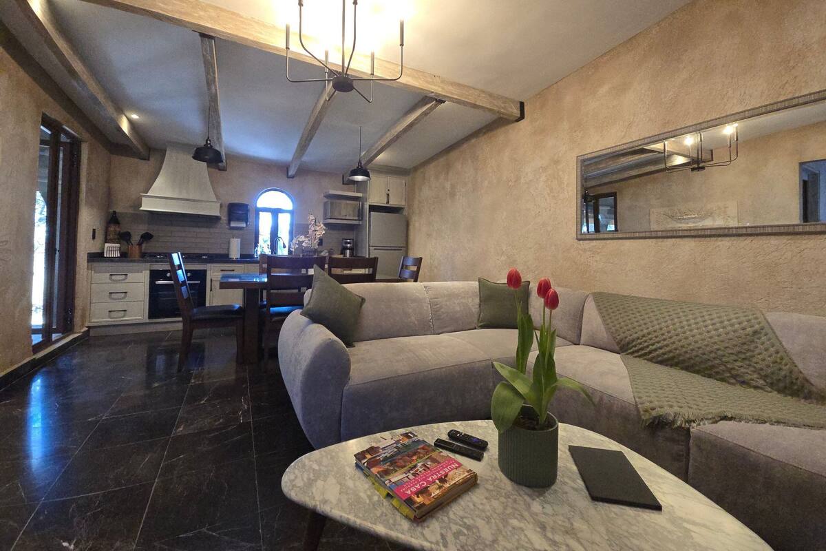 Una sala moderna con un sofá, una mesa de centro con libros y un control remoto, una planta en maceta y una cocina al fondo.