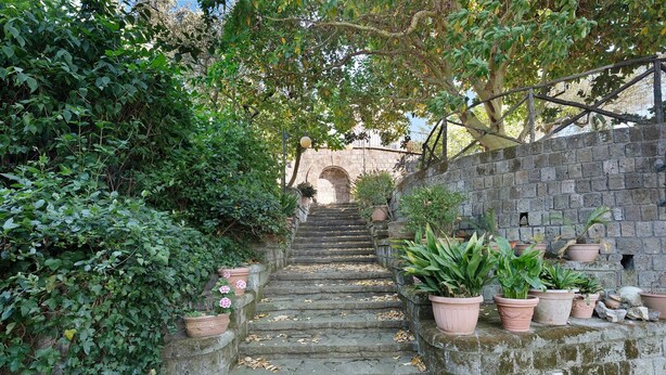 Una escalera de piedra que conduce a una entrada arqueada, rodeada de abundante vegetación y plantas en macetas.