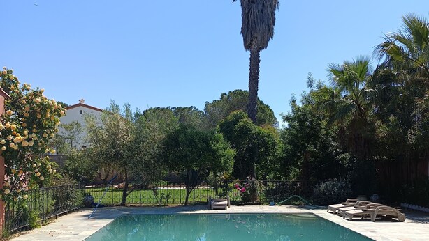 A swimming pool surrounded by greenery, a tall palm tree, and a fence. - Studio 4 km from the sea swimming pool and garden Bicycle available for hiking (Villeneuve-lès-Maguelone)