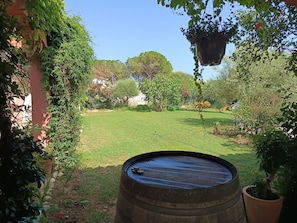 Ein Garten mit einem Fass, Topfpflanzen und einer hängenden Pflanzampel.