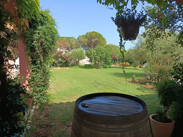 Property grounds - Studio 4 km from the sea swimming pool and garden Bicycle available for hiking (Villeneuve-lès-Maguelone)