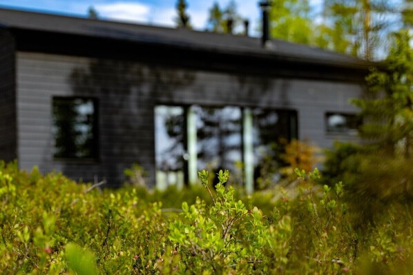 Moderni rakennus, jossa on suuret ikkunat ja tasakatto.