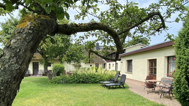 A courtyard with a tree, a patio with chairs and a table, and a building with windows and doors. - Vacation apartment with green garden view (Ahrenshoop)
