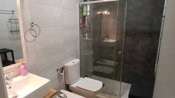 Shower, hair dryer, bidet, towels