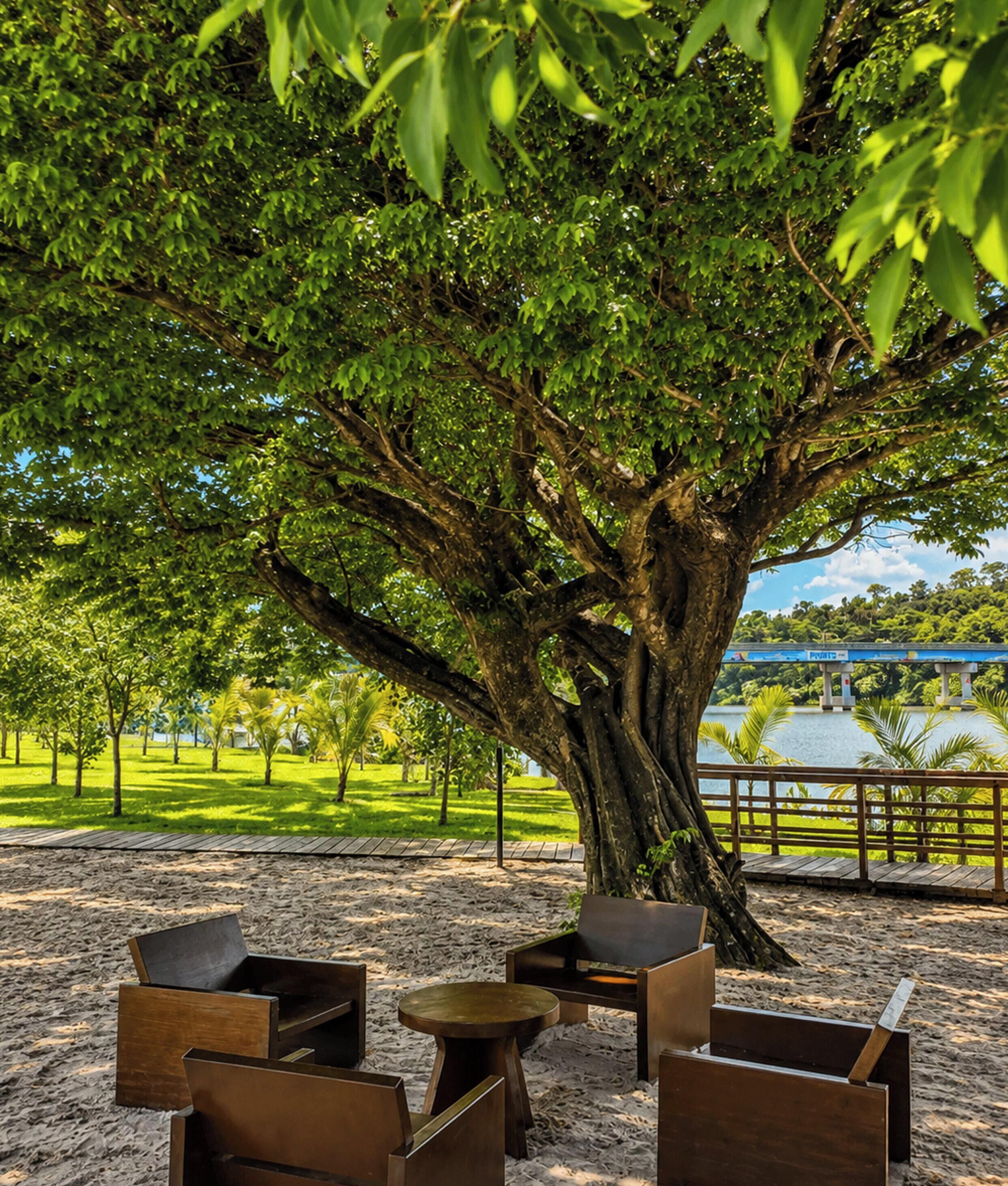 A tree-lined outdoor seating area with a view of a lake and a bridge in the background.
