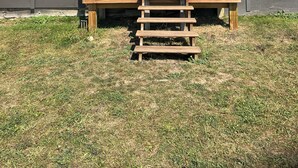 A wooden porch with a white door, two potted plants, and a set of steps leading to the entrance. - Perfect 1-bedroom  off barn with AC in charming Petoskey (Petoskey)