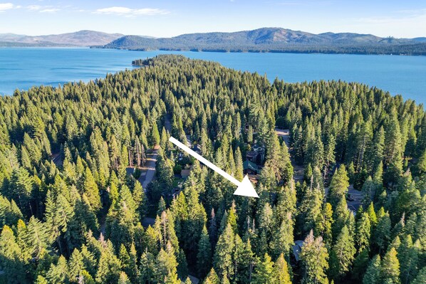 An aerial view of a forested area with a lake and mountains in the background.