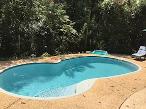 A swimming pool with a curved edge, surrounded by a sandy area and dense foliage.