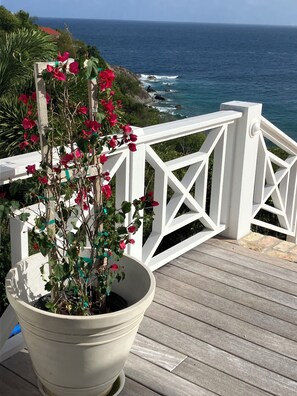 A balcony with a white railing, a potted plant with red flowers, and a view of the ocean. - Island Time St John - Cinematic Views, 2 Beaches, Close to Town (Cruz Bay)