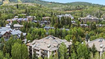 A residential area with multiple houses surrounded by dense forest, featuring a variety of architectural styles.
