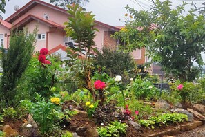 Un jardin avec différentes plantes et fleurs, un bâtiment rose doté d’une antenne parabolique et un mur de briques.