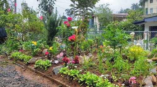 Entire cottage near Nuwara Eliya town - offering peace, convenience and freedom!