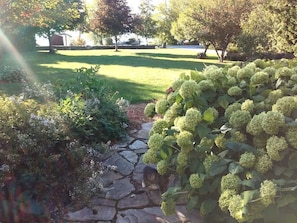 Ein Gartenpfad mit einer Katze, üppigem Grün und einem Steinweg.