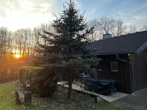 Ein Holzhaus mit überdachter Außenbereich, einem großen Nadelbaum und einer Lampe.